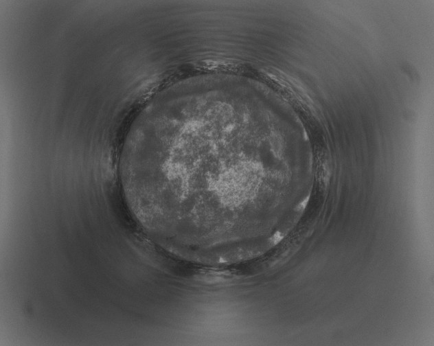 X0000116450607200912291949