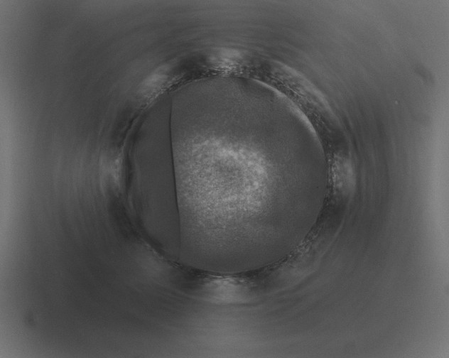 X0000116450611200912291949