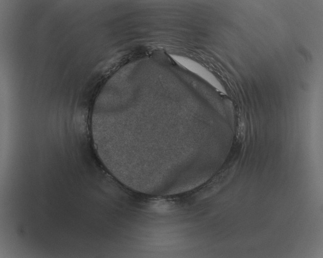 X0000116450616200912291948