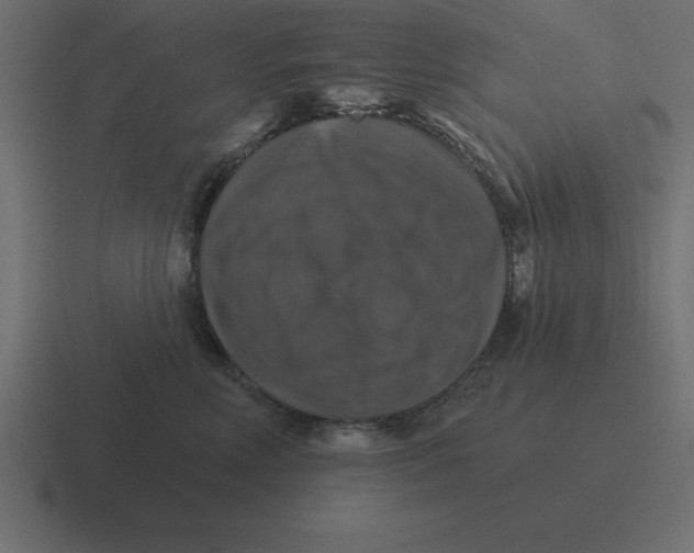 X0000116450618200912291948