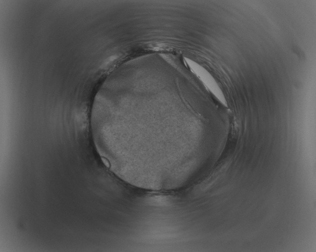 X0000116450620200912291948