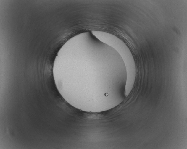 X0000116450621200912291948