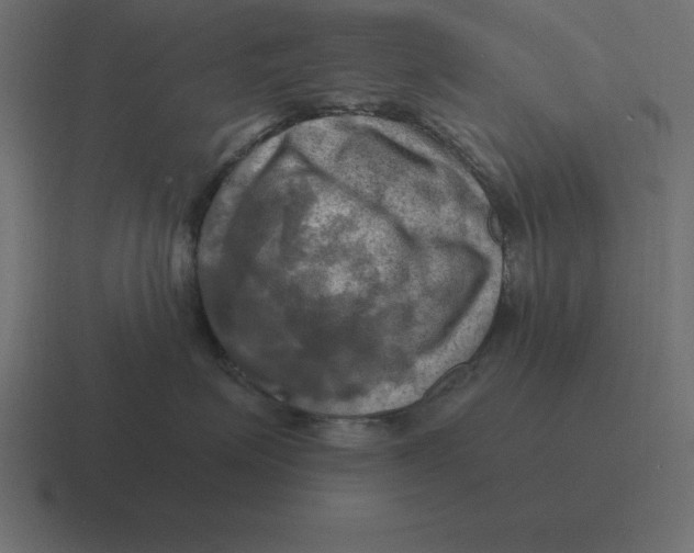 X0000116450623200912291948