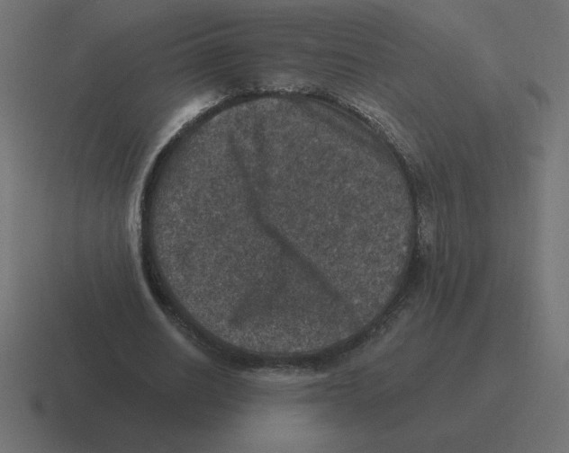 X0000116450630200912291948
