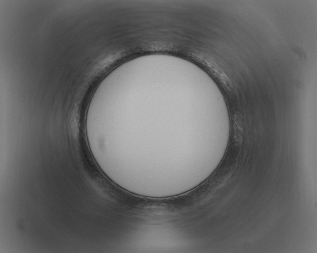 X0000116450631200912291948