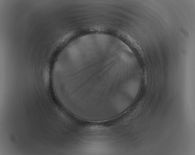 X0000116450637200912291948