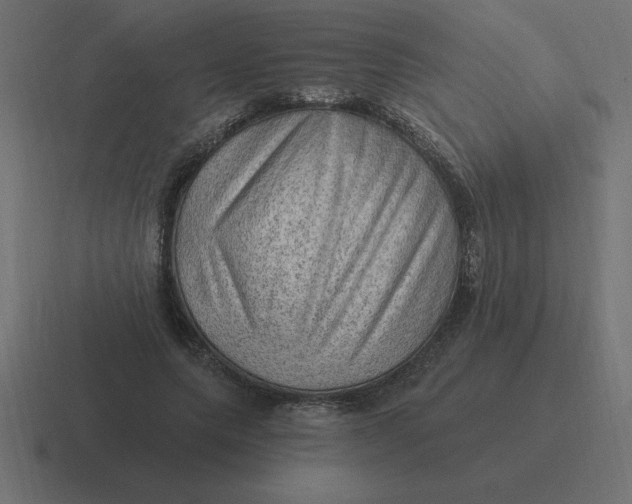 X0000116450639200912291948