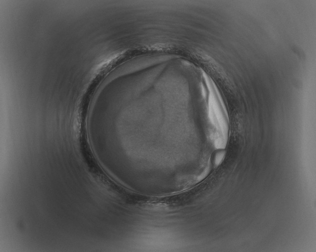 X0000116450640200912291948
