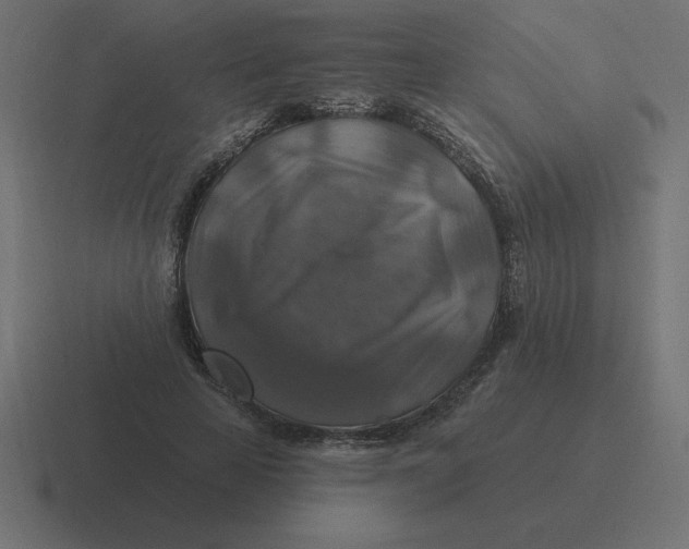 X0000116450641200912291948