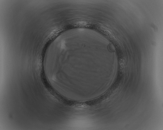 X0000116450642200912291948