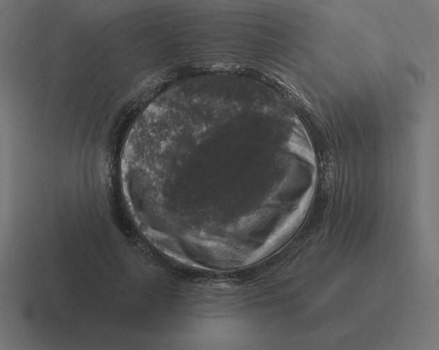 X0000116450643200912291948