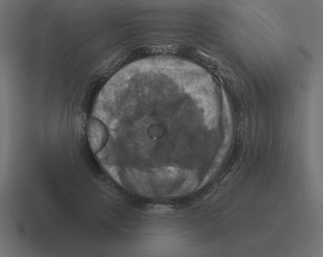 X0000116450649200912291948