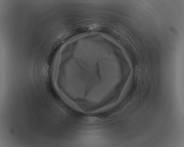 X0000116450650200912291948