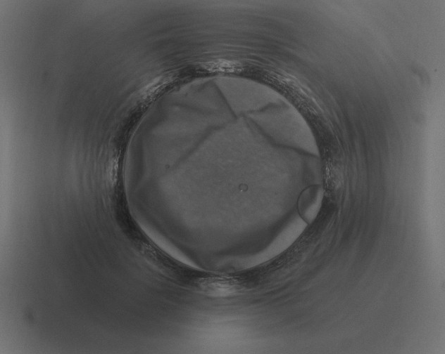 X0000116450652200912291948
