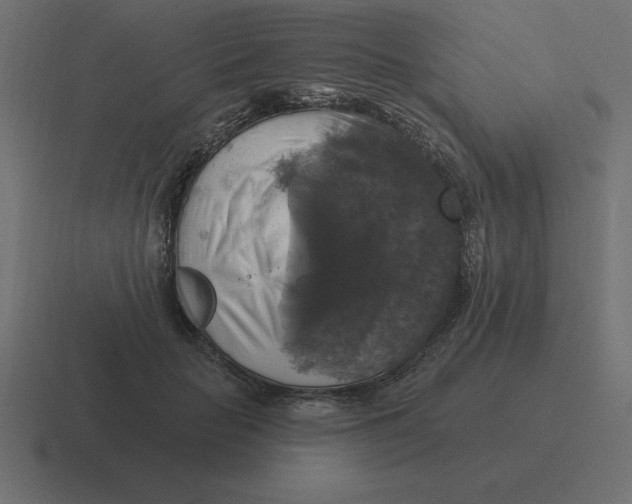 X0000116450653200912291948