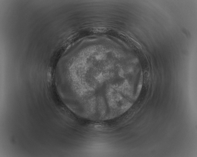 X0000116450655200912291948