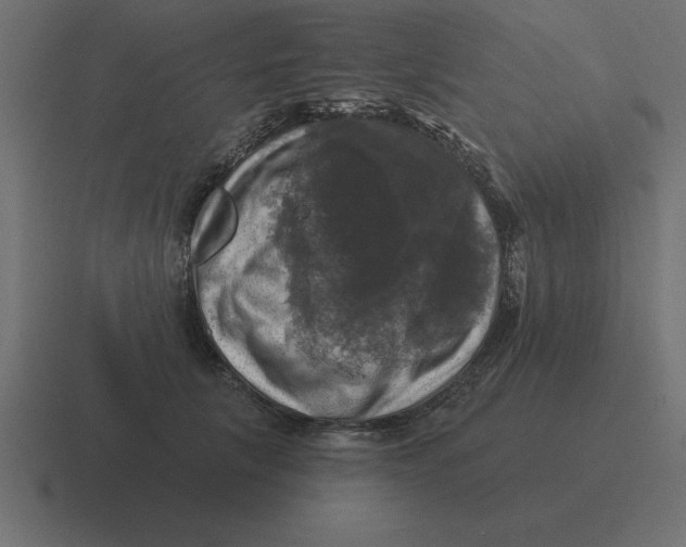X0000116450657200912291948