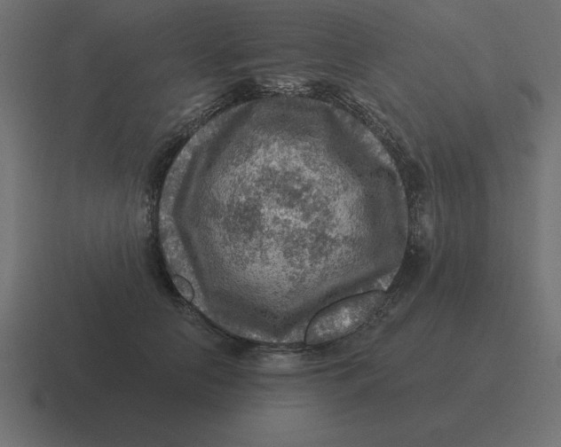 X0000116450658200912291948