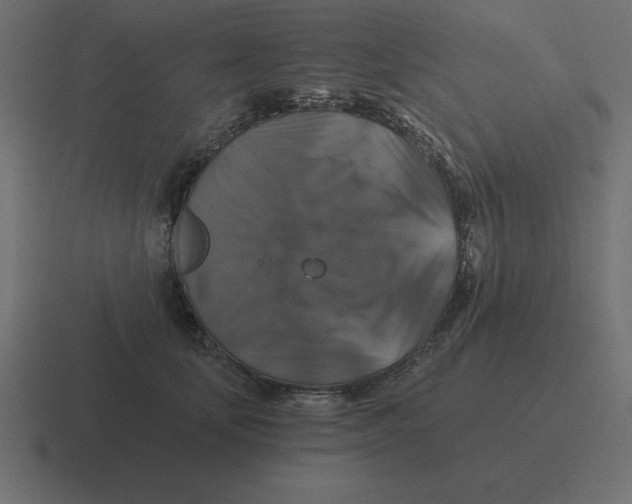 X0000116450659200912291948