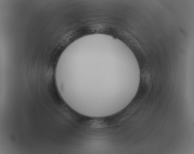 X0000116450660200912291948