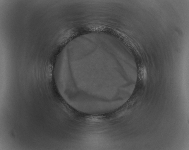 X0000116450664200912291948