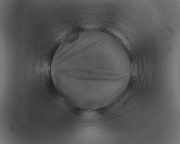 X0000116450669200912291948