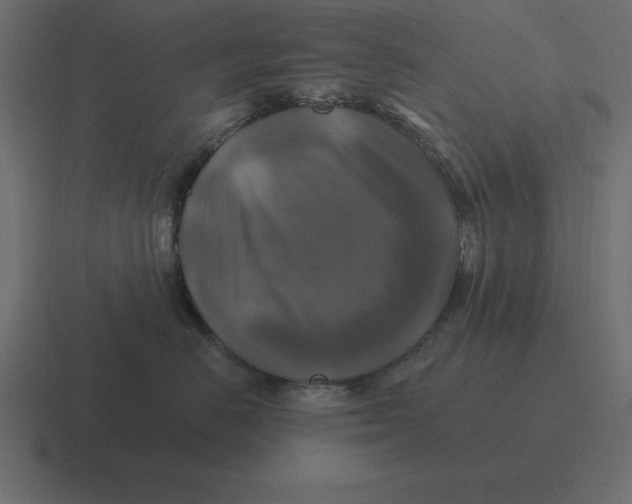 X0000116450670200912291948
