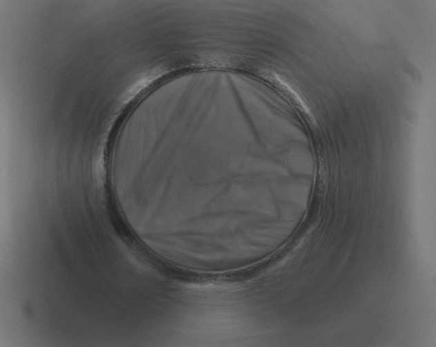 X0000116450674200912291948