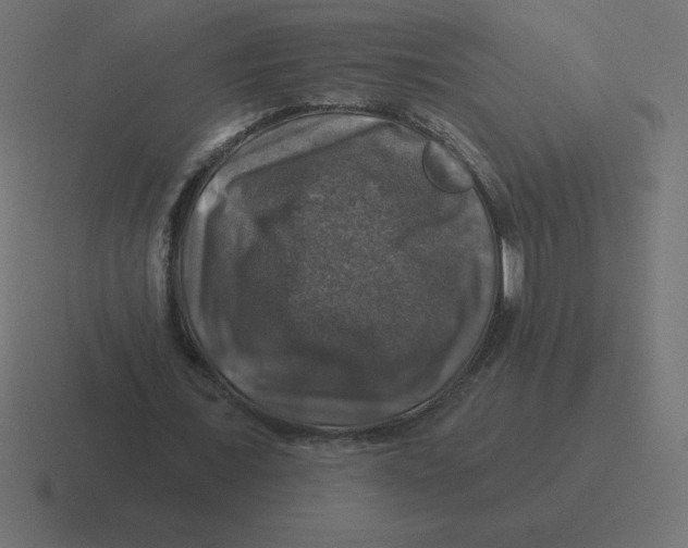 X0000116450675200912291948