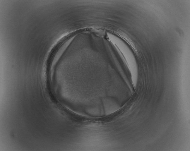 X0000116450676200912291948