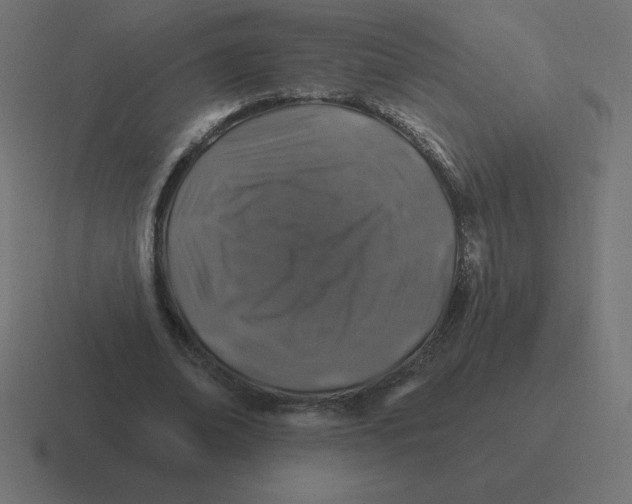 X0000116450678200912291948