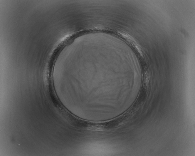 X0000116450680200912291948