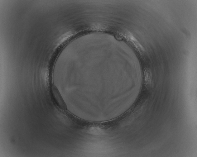 X0000116450684200912291948
