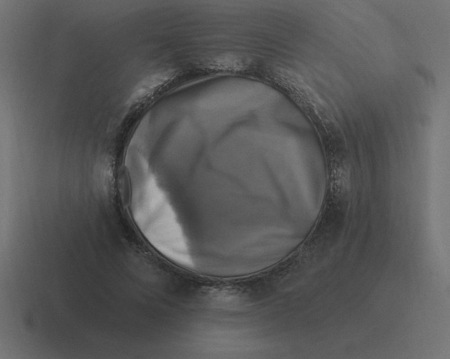 X0000116450688200912291948