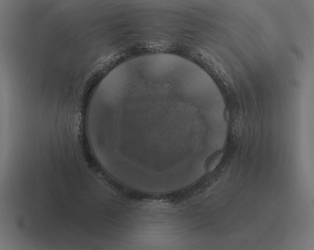 X0000116450689200912291948