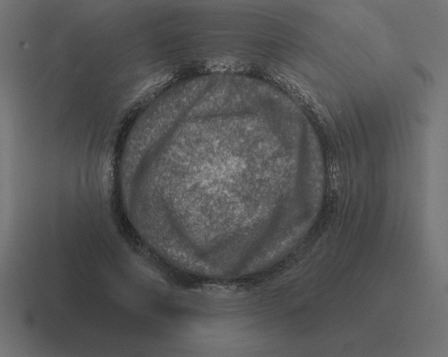 X0000116450690200912291948