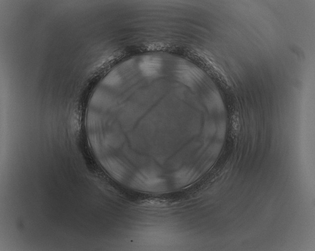 X0000116450691200912291948