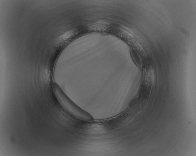 X0000116450692200912291948