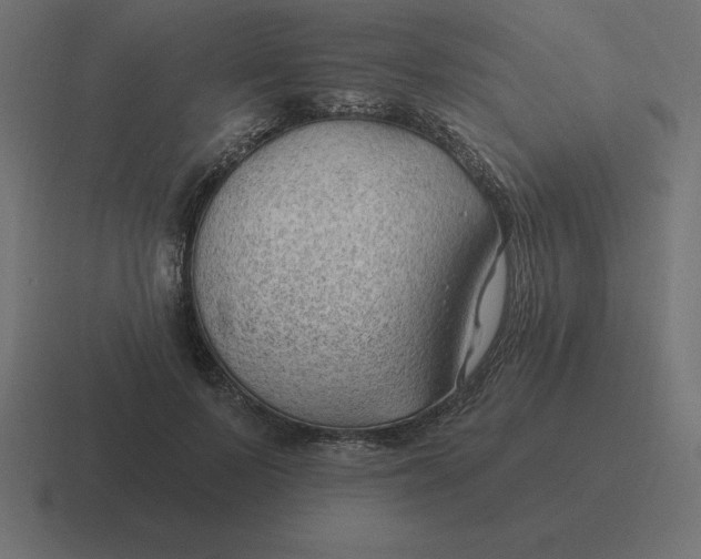 X0000116450695200912291947