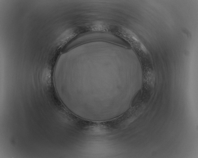 X0000116450696200912291947