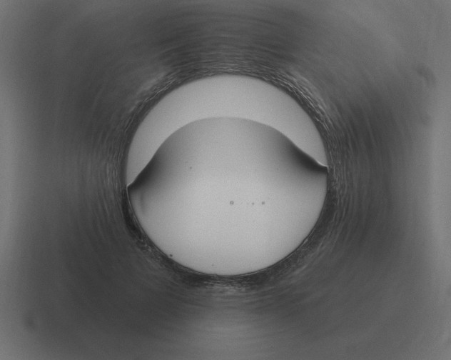 X0000116450697200912291947