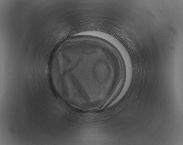 X0000116450704200912291947