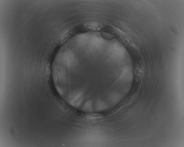 X0000116450707200912291947