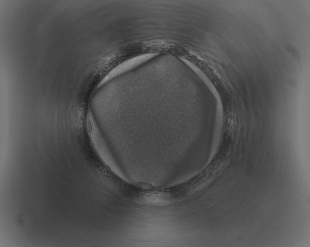 X0000116450708200912291947