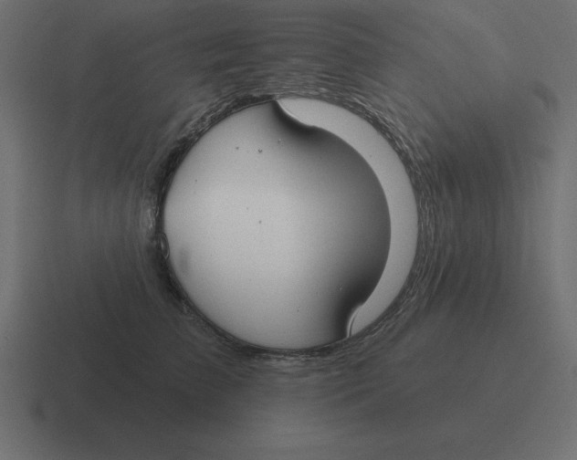 X0000116450709200912291947