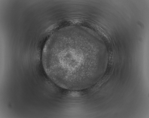 X0000116450710200912291947