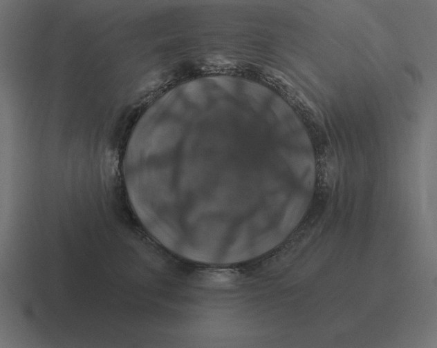 X0000116450711200912291947