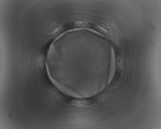 X0000116450712200912291947
