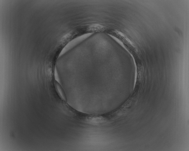 X0000116450716200912291947