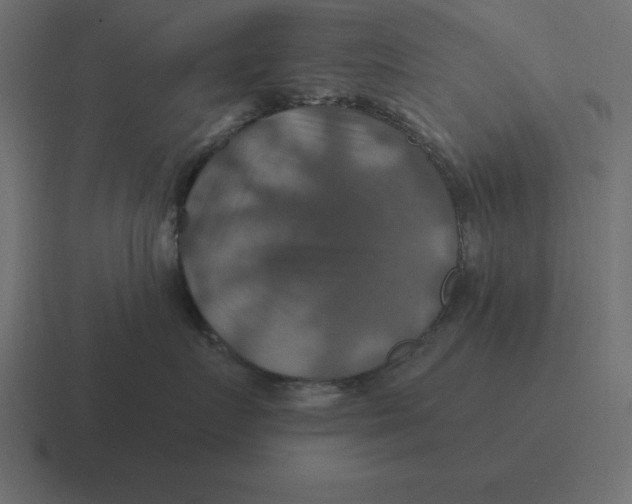 X0000116450719200912291947